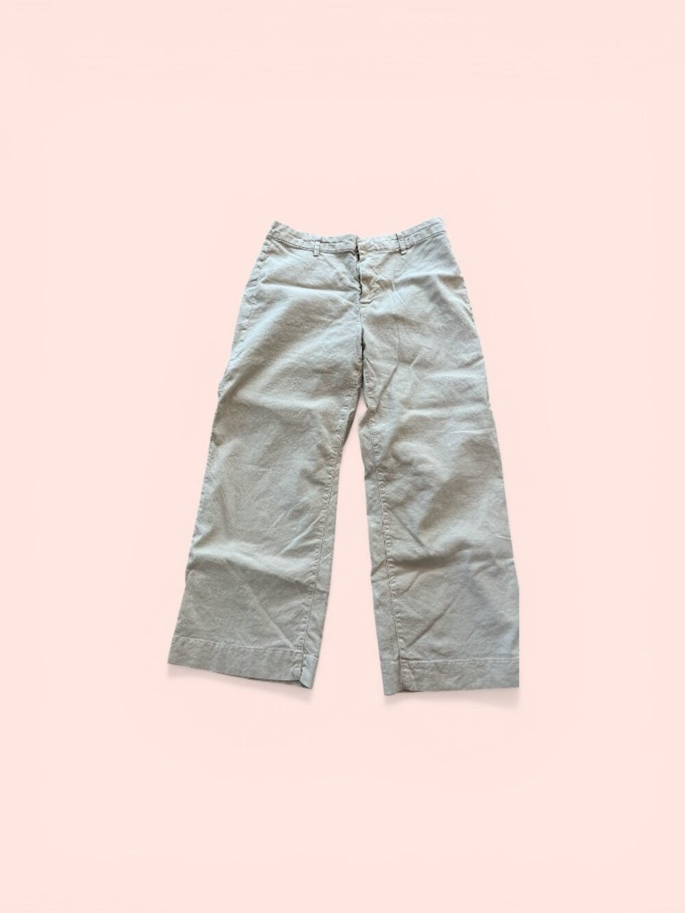 Frank and Eileen Beige ("Cement)"Linen Wide Leg Wexford Pants - size 10